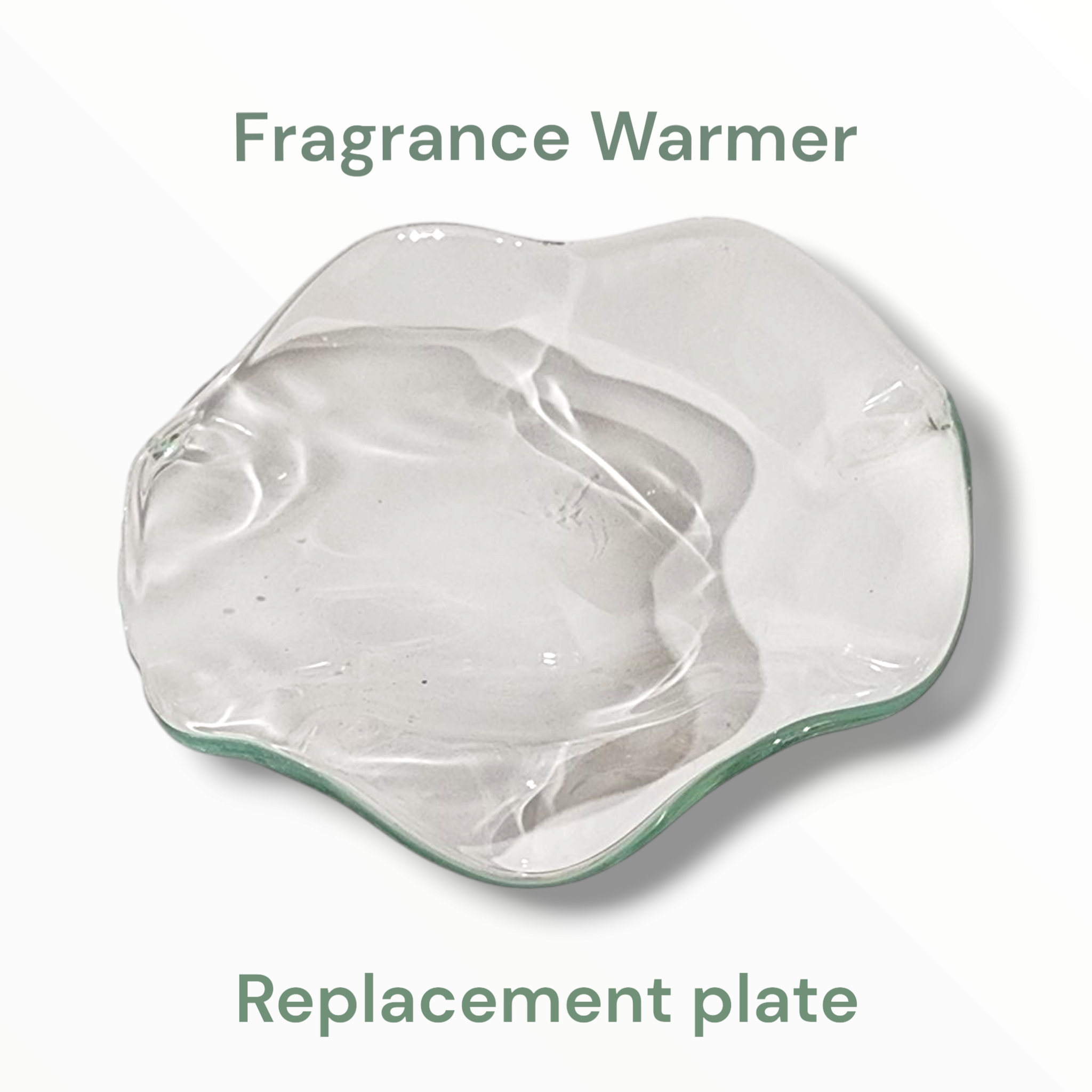 Replacement Plate Fragrance Warmer